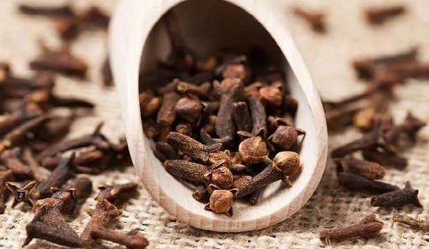 Karanfil ve karanfil ya ile arnz dindirin