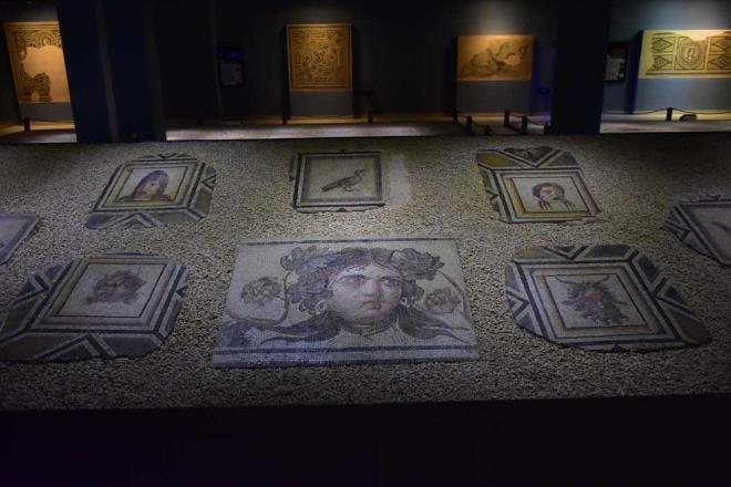 Bu yl 20 Austos itibaryla 211 bin 332 yerli ve yabanc turiste kaplarn aralayan Zeugma Mozaik Mzesi, gemi yllarn 8 aylk performansna gre ziyareti rekoru krd.