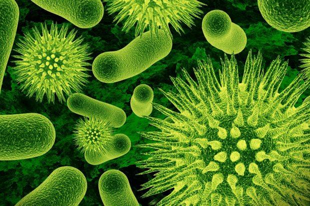 GZ ALERJS    <br>Temizlenmeyen sularda kendiliinden oluan adenovirsler su yolu ile gze katnda, gzn ierisinde bulunan svnn iine yerleir. Gzn iltihaplanmasna ve kzarmasna neden olur. Erken tedavi edilmediinde grme kaybna yol aabilir. iddetli gz arlar ve gzn kzarmas gibi belirtilerle kendini belli eder.  <br>  DRAR YOLU ENFEKSYONU    Genital blgeye yerleen mantarl bakteriler burada idrar yolu enfeksiyonuna zemin hazrlar. drar yaparken yanma, kanma ve kan gelmesi gibi belirtilerle kendini gsterir. Enfeksiyonlu hcreler yzeyde kalmaz vcudun ierisine de geer. drar yollunda iltihaplanmaya yol aar.  <br>  MOLLUSKUM KONTAGOSUM BAKTERS    Bu bakteri siillere neden olur. Cilt yolu hastalklarndan en yaygndr. Bakteri hem su hem temas esnasnda bular. Yaylma ihtimali olduundan sadece dedii yere deil dier blgelere de hzla yaylr.     HEPATT A    Nadiren grlen bu virs karacieri etkileyen viral bir enfeksiyondur. Karn ars, sarlk, yorgunluk ve mide bulants gibi belirtilerle kendini gsterir.