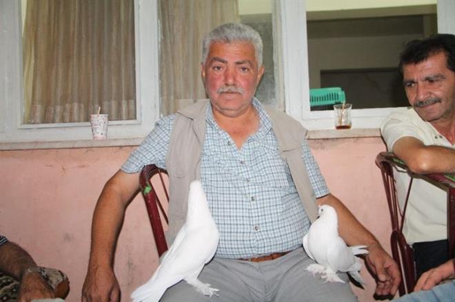 Kran krana geen ak artrmalarda araba fiyatna gvercin satlyor. Kostm ve jumbo gvercinlerin bir tanesi 15, ifti 30 bin liradan alc buluyor.