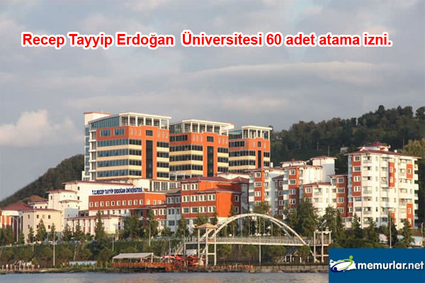 2013 ylnda 70 bin adet atama izninden en ok tahsis yaplan kamu kurumlar