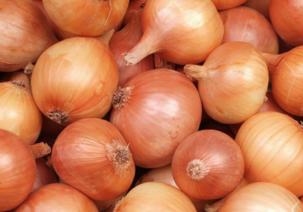 Soan  <br>  Kuersetin ierir, vcudun inflamasyonlarla mcadelesine yardmc olabilecek gl bir antioksidandr. Solunum yollarn uyarr ve balgam sktrcdr. Soan, kantlanm antioksidan ieren bir besindir, zellikle kolon kanseriyle tedavide yardmc olduu (Kimya ve la Aratrmalar Dergisi 2010) saptanmtr.