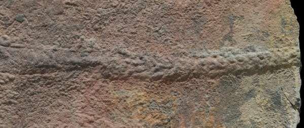 Unutulmaz bir iz: Virgina Tech Bilim niversitesi'nde yerbilimleri profesr ve makalenin ba aratrmacs uhay iao konu hakknda, &#8220;Bu keif, segmentli ve hareketli hayvanlarn 550 milyon yl nce evrimletiini gsteriyor. Hareketlilik, hayvanlarn Dnya zerinde hem gerek anlamda hem de mecazen unutulmaz bir iz brakmalarn mmkn kld&#8221; dedi.