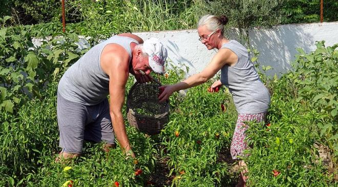 Celalettin Diner, 1 gnde zmir&#8217;deki evini sattn belirterek, &#8220;Erken emekli oldum. Kyceiz&#8217;de buray bulduk ve satn aldk, hemen tandk. Arazimiz ok byk deil ama, bize yetiyor. Sadece yourdu komularmzdan alyoruz. nk inek besleyecek yerimiz yok. Kimyasal gbre kullanmyoruz. Yerli tohumlardan retim yapyoruz. Akll telefon kullanmyoruz, televizyonda sadece belgesel kanallar izliyoruz. Gnmz bahede alarak ve yrenin talarndan sanat eseri ve resim yaparak geiyor. Ge de olsa bir film sayesinde zlediimiz hayata kavutuk&#8221; dedi. Yol kenarna yazd &#8216;Mandra Filozofu&#8217; yazsndan dolay ziyaretilerinin ok olduunu, misafirlerinin bata filmin burada ekildiini zannettiini kaydeden Diner, &#8220;Bazen gelenler burada kahvalt yapmak istiyor. Burasnn iletme deil bir ev olduunu anlatyoruz. steyen baheden sebze, kmesten yumurta alp menemenini kendisi piirerek kahvalt yapp, gidiyor&#8221; dedi.