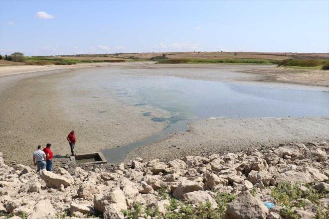 Suyun azalmasna bal olarak ok sayda baln telef olduunu ifade eden Filiz, acil yardm beklediklerini ifade etti.