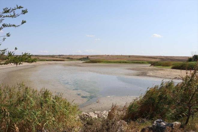 Ky muhtar evket Filiz, gazetecilere yapt aklamada, mevsimlerin kurak gitmesi ve yeteri kadar suyla beslenmemesi nedeniyle gletin kuruma noktasna geldiini syledi.