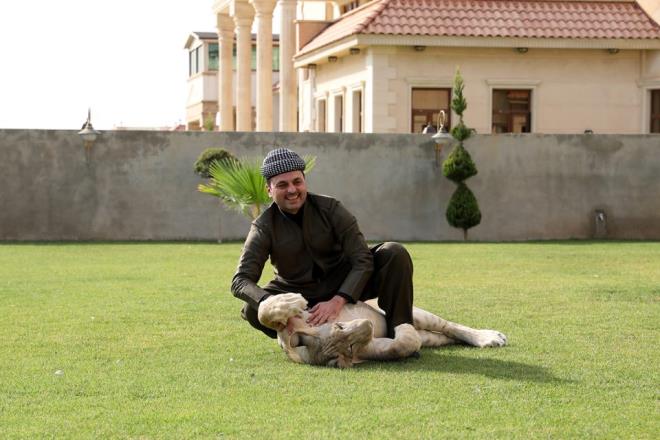 Birifkani, Leo'nun salk durumunun da srekli kontrol edildiini ifade ederek, unlar kaydetti:    "Leo'ya blgenin en iyi veterineri bakyor. Her gn rutin salk kontrolleri yaplyor.