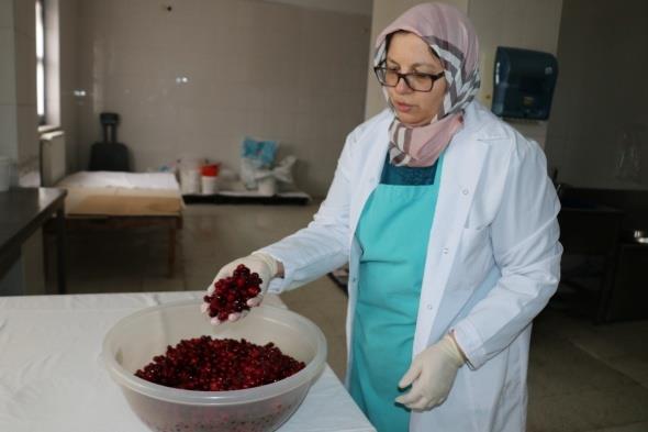 Bolu'nun dalarndan toplanarak eitli aamalardan geirildikten sonra orbas yaplan Kzlck meyvesi zellikle k aylarnda ifa kayna oluyor.