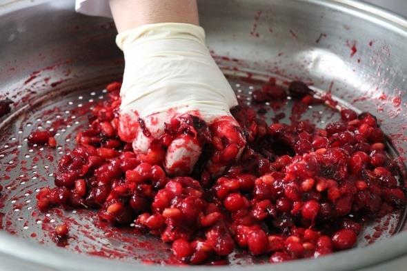 Tarihte, Lokman hekimin de ifa kayna olarak gsterdii Kzlck meyvesi hakknda bilgi veren Bolu El i Hatralar Dernei (BEHDER) Bakan Gler Burkucu, ?Kzlck, yaz mevisiminde Bolu dalarndan toplanan bir meyvedir. Bunu ileyerek tarhana haline getirip k mevsiminde ifa orbas olarak yenilir. Bolu'da en ok kullandmz orbadr. Salk asndan ok iyi bir orbadr. C vitamini deposudur. Lokman hekim btn illeri gezerken Bolu'ya geldiinde ve Bolu dalarndaki kzlcklar grdnde ?Benim ifa datmama gerek yok. Siz zaten ifay bulmusunuz. ifa kzlcktr' demi. ifa orbas ismi de oradan gelmi. ifa orbas k mevsiminde grip olduumuzda, barsak bozukluunda, mide bulantsnda, souk algnlnda herkesine evinde kullanlan bir orbadr? eklinde konutu.