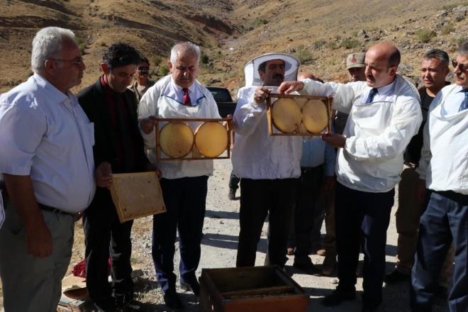 Yksek rakml yaylalar ve zengin bitki rtsyle arclk iin nemli blgeler olan Van ve evresinde, geen yl sezon verimsiz geti.