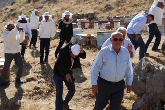 Arclar, bunu mevsim artlarnn zamannda yaanmamasna ve kresel snmann etkilerine balad.      Bu yl da ayn eylerin yaanmamas iin toplanan arclar, haziran ay balarnda sezonu aarken, bereketli olmas iin 'bal' duasna kt.