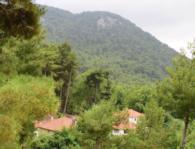 Oyuncu zg Namal nefes terapisti Serdar Oral ile 2013?te ak yaamaya balamt, ocuklar Nefes?i, Nisan 2015?te, Elem Su?yu Aralk 2016?da dnyaya getirmi ve ocuklarn doa ile i ie bytmek iin stanbul Zekeriyaky?e tanmt.