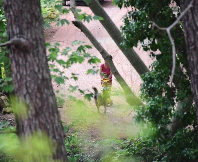 Kk bebek, bakcs eliinde villann etrafnda bisikletle dolat.