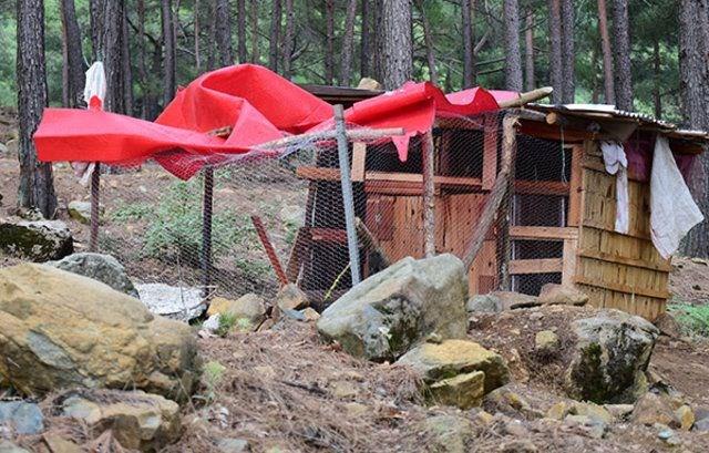 Doaya i ie yaayan iftin tavuk besledikleri de grld.