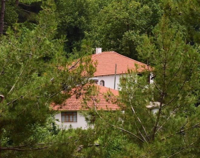 zg Namal ve Serdar Oral, Mula Kyceiz?de doayla i ie bir yaam kurdu. Bu beraberlikten Nefes ve Elem Su adlarnda iki de ocuu olan ift, orman iindeki iftlik evinde ilk kez grntlendi. zg Namal, nefes terapisti sevgilisi Serdar Oral, ocuklar Nefes ve Elem Su?yla yaad Kyceiz?de yllar sonra grntlendi.