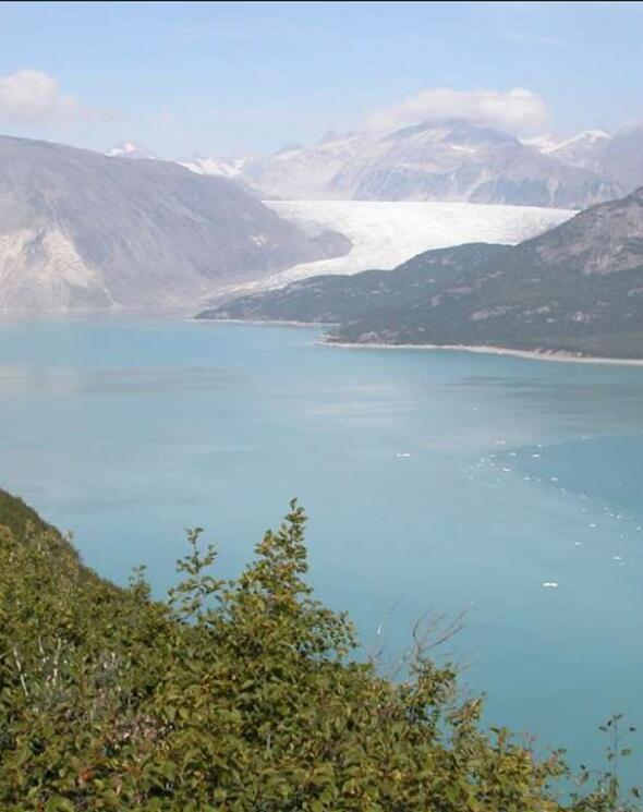 Ve 31 Austos 2004 tarihindeki erimi hali.