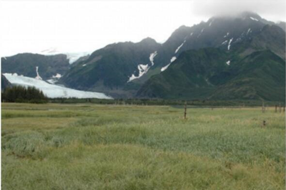 Ayn yer.. Ancak aradan on yllar gemi ve 2005 yl yaznda blge bu halde...