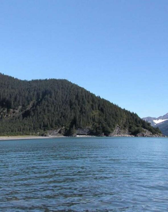 Ve 2004 ylnda buzuldan eser yok.