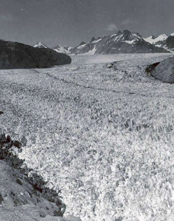 Alaska'daki Muir Glacier'in 13 Austos 1941 tarihindeki hali.