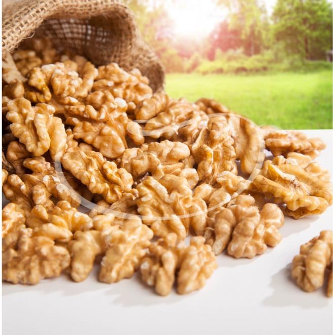 Dr Chauhan, yapt deerlendirmede; "almamzda, ceviz ile zenginletirilmi diyetler, ceviz ieriinin oksidatif stres ve inflamasyonu azaltmaya ynelik birikimli etkisi nedeniyle AD-tg farelerinde gelimi hafza ve bilisel fonksiyon salam olabilir. Bu sonulara gre, ceviz ile takviyenin cevizin farkl bileenlerinin antienflamatuar ve antioksidan etkileri nedeniyle Alzheimer hastalnn geliimi riskini azaltmaya ve/veya ilerlemesinin yavalatlmasna yardmc olabilecei ifade edilebilir. Bu sonular en azndan benzer almalarn insanlar zerinde yaplmasnn faydal olabileceini gsteriyor" dedi.    Dr Chauhan, ceviz znn bu etkisinin, cevizin iinde bulunan aktif bileenlerden kaynaklanabileceini, bunun endojen antioksidan savunma kapasitesinin artrabileceini ve hcresel redoks durumunu dzenleyebileceini, ceviz zengini bir diyet bu nedenle amiloid beta protein araclyla oluan sitotoksisiteyi, nronal kayb ve Alzheimer hastal oluum riskini azaltabileceini belirtti.