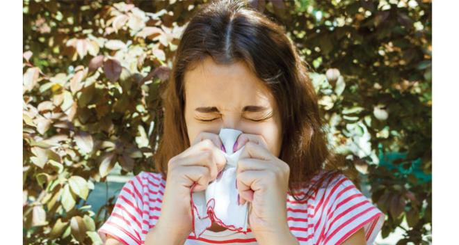 ?Grip as, gripten korunmada tek bana yeterli deildir? diyen Prof. Dr. Mehmet bir, Baklk sisteminin gl tutulmas gerektiini ve k mevsiminde C vitami barndran meyve, sebzenin taze olarak tketilmesi gerektiini syleyerek nemli aklamalarda bulundu.    Girne Amerikan niversitesi (GA) Eczaclk Fakltesi, Farmakolaji Ana Bilim Dal Bakan Prof. Dr. Mehmet bir aklamasnda, gribin virus kaynakl bir solunum yolu hastal olduunu belirterek, viruslerin partikller araclyla, hava yoluyla, eyalara temasla ve yakn temasla bulaabileceine dikkat ekti. K mevsimi ve mevsim geilerinde insanlarn kapal alanlarda daha fazla vakit geirdikleri ve solunum yoluyla gribin daha hzl bulatn belirterek okula giden ocuklarda veya kalabalk yerlerde gribin yaylma orannn daha yksek olduunu syledi.