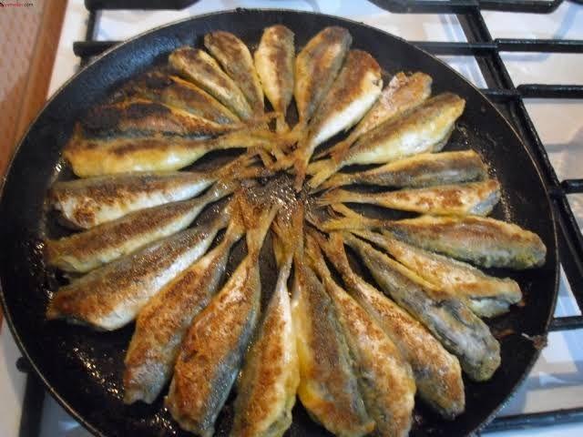 Austos aynda hangi balk yenilir : <br> inekop, saraz, sinarit, kaya bal, orkinos, sarkanat lezzetlidir. stavrit yine en lezzetli balktr.