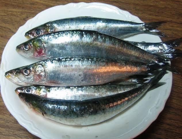 Temmuz aynda hangi balk yenilir? : <br>Sardalya, inekop, saraz, akya, orkinos, kaya bal, trana, sinarit bu ayn en lezzetli balklardr. stavrit ok lezzetlidir.