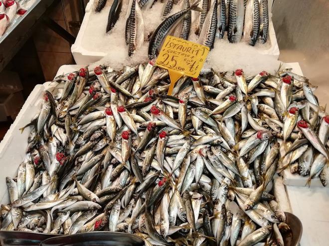 Mevsiminde tketmek nemli  <br>  Peki balkta yaplan hile yntemleri ve taze baln ayrt edilebilmesi iin uzmanlar ne sylyor? TMMOB Gda Mhendisleri Odas stanbul ubesi Ynetim Kurulu Bakan Zafer enyurt,  baln mevsiminde tketilmesi gerektiini syledi.  enyurt, "Her rnde olduu gibi  ncelikle mevsiminde tketmek son derece nemli. Av mevsimi zaten kanun koyucular tarafndan belirlenmi.