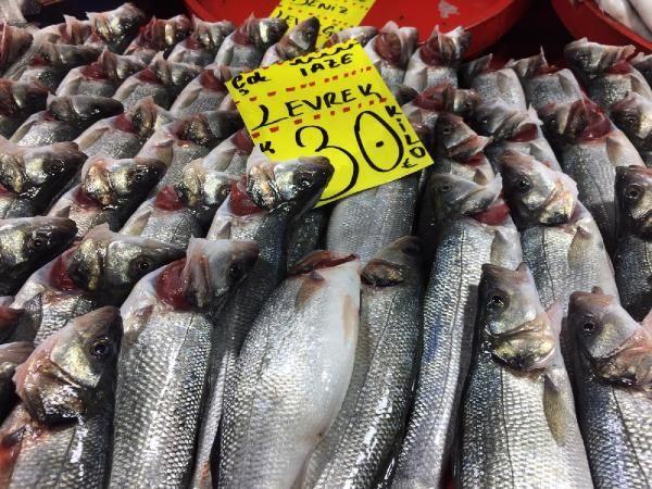 Ahmet Koca, boyann anlalmasnn kolay olduunu ifade etti. Koca, "Solunga ksmna elini srdnzde boya olsa, o boya kar. Boya olursa elinizle dokunduunuzda o boya akm olur. Net bir ekilde anlalyor" ifadelerini kulland.