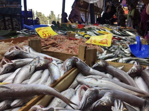 Baln boyand anlalabilir mi?  <br>  Balk satcs Yusuf Can, "Baktn zaman anlalr, boya olduu bariz belli olur zaten. Bir sre sonra akar. Ayn canll koruyamayabilir. Su vurduumuz iin bir sre sonra boyay atar. Balknza gveneceksiniz, srekli ayn balkdan alveri yaplmal. Tek are bu. Srekli 2 veya 1 TL iin balknz deitirirseniz ok farkl sorunlar yaayabilirsiniz. Tek gerek aslnda bu" ifadelerini kulland.