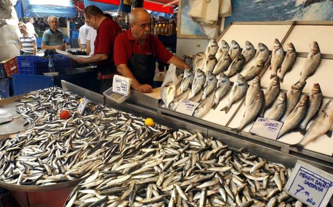 Bu mevsimde balk tketmek, zellikle havalarn soumasyla balklarn irilemesi, yalanmas, lezzetinin artmas, besin deerlerinin artmas son derece nemli. Taze bulmak iin ncelikle insanlarn  bildikleri, gvendikleri balklardan balklarn almalarn tavsiye ediyorum" dedi.