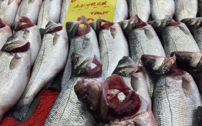 EYLL aynda av yasann sona ermesiyle birlikte balk satlar artarken son kan haber yine oke etti. Baz balklarn balklar taze grnsn diye solungalarn krmzya boyad ortaya kt.