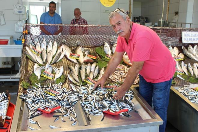 Solungalarnn vine krmzs kvamnda krmz olmas, gzlerinin parlak olmas  ayn ekilde vcudunun  etli ksmnn dolgun ve gergin olmas, dokunulduunda mmkn olduunca parmak izinin az olumas ve ok ksa srede eski halini almas nemli kriterlerden.