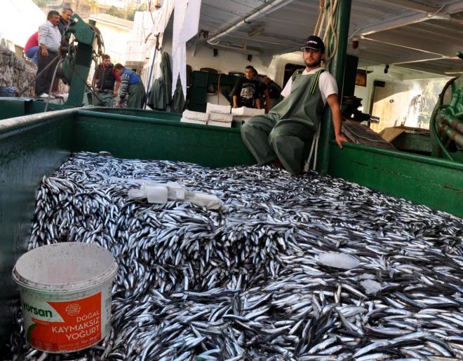 Kkekmece'de balk pazarndan alveri yapan bir vatanda "10 kilo kadar aldm. Taze balk olarak grnyor.  Arkadalara da gveniyorum. Tazedir, zaten sezon yeni olduu iin bayatlama ans pek fazla olmuyor" dedi