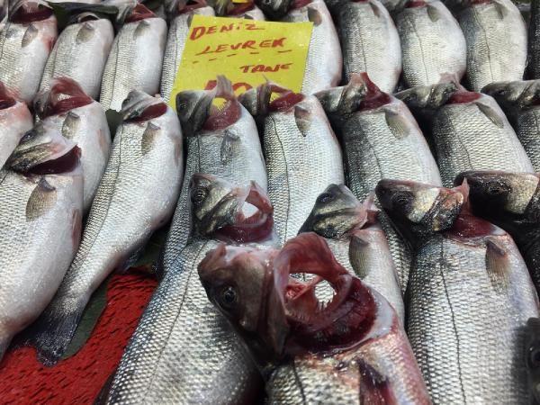 Balkta hile yapanlarn olduunu ifade eden enyurt, "Balkta da hile yapld solungalarn boya maddeleriyle boyadklar gibi duyumlar biz de alyoruz. Bu konuda elimizde bilgi, belge yok.  Bu tr yollara bavuranlarn olduunu bizde biliyoruz.