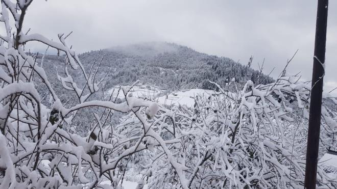 Yaan kar nedeniyle hayvanlarn yiyecek bulmas zorlarken, obanlar srleriyle yaylalardan dnmeye balad.