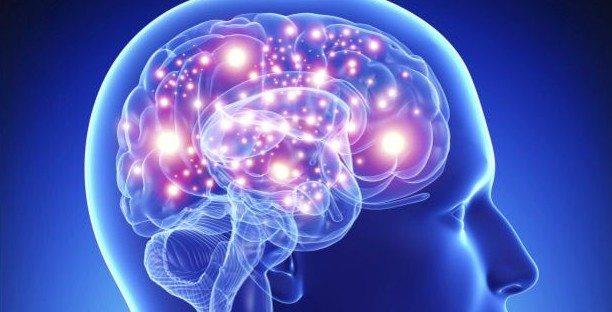 ?Kzmn salarn tarayamyordum?<br>    Irak'tan ameliyat olmak iin Trkiye'ye gelen 52 yandaki Parkinson hastas Shahla Faisal, ?42 yandayken Parkinson hastas oldum. Ameliyat ncesi tek bama hibir ey yapamyordum. Kzmn salarn bile tarayamyordum ve bu beni ok zyordu. Ameliyat sonras ok iyi oldum. Tek bama tm ihtiyalarm karlyorum? ifadelerini kulland.