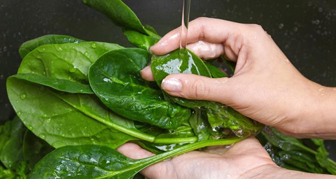 Son dnemde gda zehirlenmelerinde yaanan art, gzleri uzmanlara evirdi. Dahiliye Uzman Dr. Ergn zta, salksz artlarda tanan ve yeniden tketilmek zere saklanan birok gdann zehirleyebilecei ve hatta lmcl sonular dourabilecei uyarsnda bulundu.<br> Ispanak gibi tarladan soframza ulaan birok rn, salksz tama ve saklama artlar sebebiyle lme varan ciddi salk problemlerine sebebiyet verebiliyor. Hijyen kurallarna aykr olarak tanan, saklanan rnlerin stlarak yeniden tketilmesinin de ciddi riskler oluturduunu vurgulayan VM Medical Park Bursa Hastanesi  Hastalklar Uzman Dr. Ergn zta, ?nsan salna olumsuz etkilerinden dolay nitrat ve nitrit, belirli dozlarn zerinde gdalarda bulunmasi stenmeyen maddelerdir. Ispana ele aldmzda nitratn nitrite dnmesi, oksidasyon gerektirir.