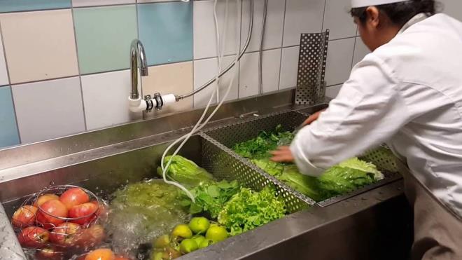 SRKEL SU LE TEMZLENEBLR M?<br>    Sebze ve meyveleri temizlemek iin sirkeli su ile ykamann ok uzun zamandr kullanlan bir yntem olduunu ifade eden Do. Dr. Gen, "Ykama suyuna sirke ilave etmenin temel amac; asidik bir ykama ortam oluturarak yetersiz ykama ihtimaline karlk gda zerinde bulunabilen muhtemel zararl biyolojik etkenlerin uzaklatrlmasdr. Gnmzde yaygn olarak kullanlan pestisitlerin pek ounun aktif maddesi asidik koullarda daha kararl hale gelmektedir. Bu da yetersiz bir ykama nedeniyle bu tr ilalar gdadan uzaklatrlamayp vcuda alnrsa olas zararl etkilerinin ok daha uzun sreler boyunca srdrmelerini salanmas, demektir. Hangi sebze ve meyvede hangi pestisitin kullanld bilinmedii iin sirkeli suyla ykanmamalar gerekir. Sebze ve meyveleri tamamen tarm ilacndan arndrmak mmkn olmasa da bol duru suyla ykayp zellikle yeillikleri suda bekletmek, en doru temizleme eklidir" diye konutu.