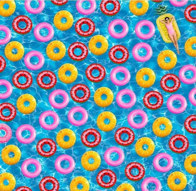 Can simitleri arasndaki donutu (tatl rek) bulun.