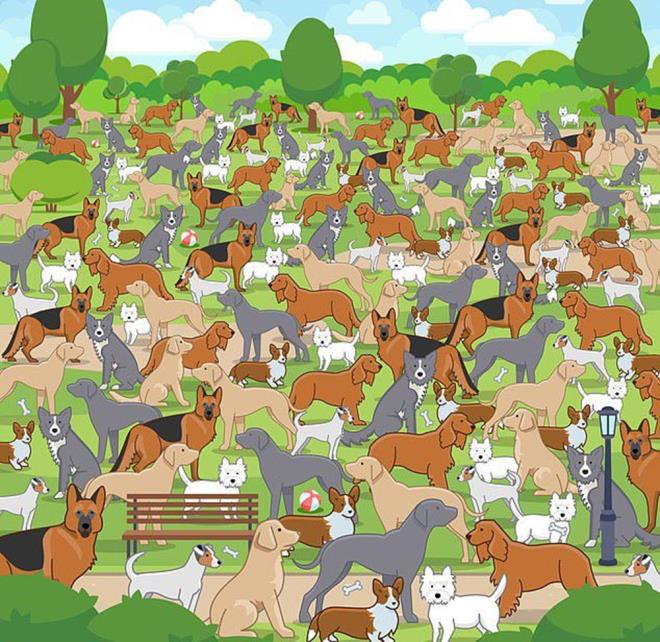 Resimdeki yavru kpei fark ettiniz mi?