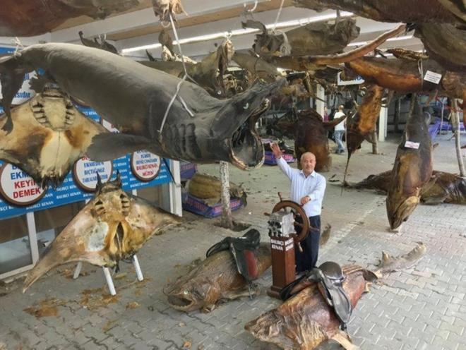 Trkiye Deniz Canllar Mzesi<br>    Beylikdz Yaam Vadisi'nde bulunan Balk Kenan Trkiye Deniz Canllar Mzesi de, smestir tatilinde minik misafirlerini bekliyor.    Mzede, hamsi ve istavritten kpek balklarna, vatozlara kadar, denizlerimizde yer alan canllarn mumyalanm eitli rnekleri sergileniyor.    Yaklak 1,2 tonluk orkinos ile dnyann en byklerinden olduu belirtilen 2,5 metre kuyruk uzunluu bulunan vatozlarn da yer ald mze, uzun sren bir almayla hazrland. Sergilenen deniz canllar, her yl zel bakmdan geiriliyor.    Yaklak 41 ton deniz canlsnn mumyasnn yer ald mze, cretsiz olarak ziyaretilerini bekliyor.