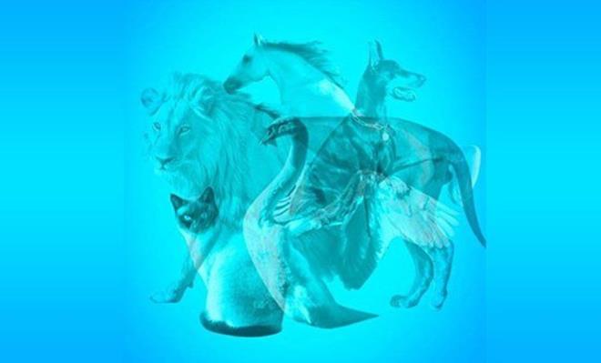 pek bcekleri 2 ayda arlklarnn 80 bin kat kadar beslenir.