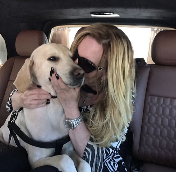 "Harika Avc stanbul Kartal?da bir pansiyon odasnda yaamaya balad. Maddi skntlar nedeni ile her eyini satan Avc?nn pansiyon parasn ise Avustralya?da yaayan bir fan dedi."