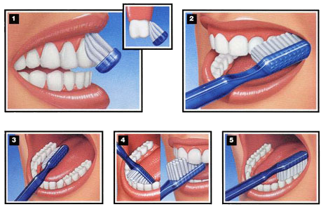 Di frasnn doru kullanmnn az ve di sal iin ok nemli olduunu da vurgulayan Dt. pek Turgut, u tavsiyelerde bulundu: