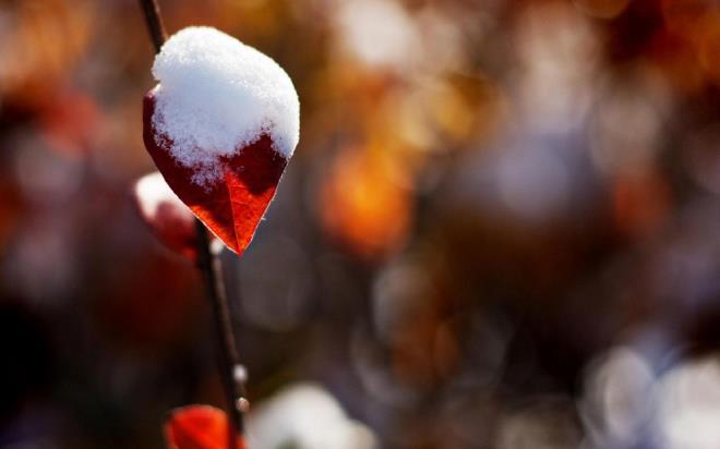 Rzgar gneyli ynlerden orta yer yer kuvvetli, i kesimlerde frtnams rzgar (30 - 50km/sa) eklinde esmesi bekleniyor.