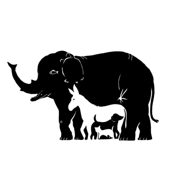 Bu resimde ka tane hayvan var?