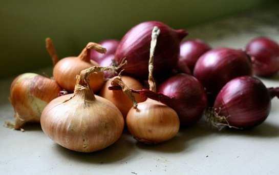 3- KALP SALIINI KORUR  <br>  Soan suyu, hem antioksidan hem de iltihap nleyici zellii ve kolesterol drmesi ile kan damar sertlemesi, yksek kalp basnc, kalp krizi gibi kalp-damar hastalklarnn ortaya kma riskini azaltr. Yaplan bir aratrma, soan suyu tketiminin tansiyonu dengeledii ortaya karlmtr.