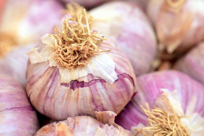 8- AMELYAT ZLERN AZALTIR  <br>  Soan suyu ile hazrlanan krn cerrahi veya gerginlik iaretleri olan izleri zamanla giderir. Yapmanz gereken ise u: 3 gram tuz ve on gram bulak sabununu kartrn. Bu karm iine soan kk paralar halinde dorayp atn ve iyice kartrn. 15 dakika boyunca su banyosu iinde bekletilen ve kartrlan bu karmda geride kalan sv soan zdr. Bu z, yara alanlarna gnde bir kez uygulayn. Fakat dikkat edilmesi gereken cildin alerjik bir tepki vermemesi. Uygulanan blgede kzarklk grlrse uygulamay durdurun ve yapmayn.