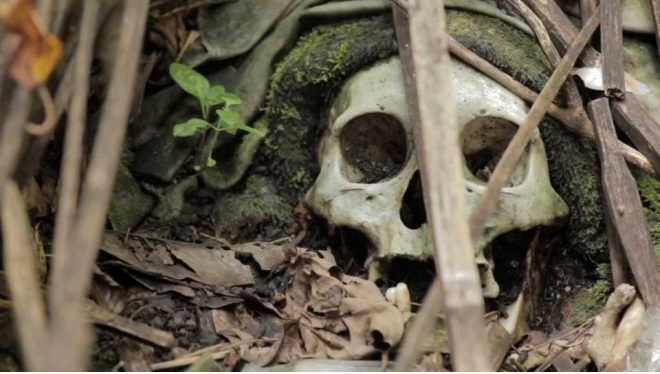 Bild'e konuan Federal Brandenburg Eyaleti Askeri Birlii Mezar Bakm Birimi Bakan Oliver Breyhupt, kalntlarn Sovyet askerine ait olabileceiyle ilgili olarak hi bir pheye yer olmadn syledi.